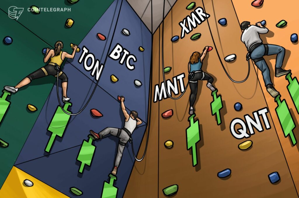 Profitable Opportunities in TON, XMR, MNT, and QNT Due to Bitcoin's Stable Price